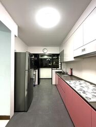 punggol-topaz photo thumbnail #7